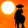 Silhouette elephant with tourist at sunset Royalty Free Stock Photo