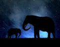 Silhouette elephants Royalty Free Stock Photo