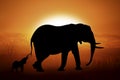 Silhouette of a elephants in sunset