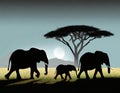 Silhouette of elephants at sunset, with a single acacia tree and hills in the distance Royalty Free Stock Photo