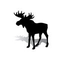 Silhouette of an elk with beautiful horns, a herbivore on a whit Royalty Free Stock Photo