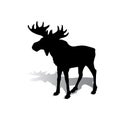 Silhouette of an elk with beautiful horns, a herbivore on a whit