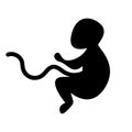 Silhouette of embryo child. Vector illustration Royalty Free Stock Photo