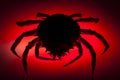 Silhouette, European spider crab, red, stealth, danger, prowling Royalty Free Stock Photo