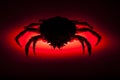 Silhouette, European spider crab, red, stealth, danger, prowling Royalty Free Stock Photo