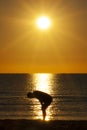 Silhouette Exhausted Man Resting Sea Sun Profile Royalty Free Stock Photo