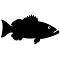 The silhouette of an exotic, decorative fish of the carp family. T-shirt, logo or tattoo emblem with design elements Royalty Free Stock Photo