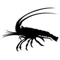 Silhouette of exotic, decorative fish shrimp lobster. T-shirt, logo or tattoo emblem with design elements Royalty Free Stock Photo