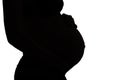 Silhouette of expectant mother Royalty Free Stock Photo
