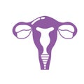 Silhouette fallopian tubes with uterus to human anatomy