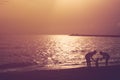 Silhouette of family play with child sunset on seabeach summer holiday vintage tone