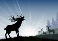 Silhouette of a family deer standing on the time of morning