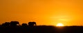 The silhouette of a family of elephants walking through the savannah at sunset