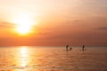 Silhouette of family playing the stand-up paddle board on the sea with beautiful summer sunset colors. Happy family concept Royalty Free Stock Photo