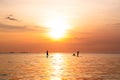 Silhouette of family playing the stand-up paddle board on the sea with beautiful summer sunset colors. Happy family concept Royalty Free Stock Photo