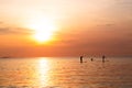 Silhouette of family playing the stand-up paddle board on the sea with beautiful summer sunset colors. Happy family concept Royalty Free Stock Photo