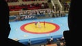 Silhouette of fan who watches duelling on sambo. The action is unfocused. Fan is unrecognizable.