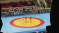 Silhouette of fan who watches duelling on sambo. The action is unfocused. Fan is unrecognizable.