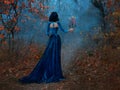 Silhouette fantasy woman queen runs in dark forest, hands hold vintage burning candlestick candles. Blue velvet long Royalty Free Stock Photo