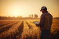 Silhouette of Farmer Examines Field with Tablet