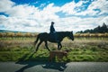 In silhouette a farmer rides past on horse with two dogs casting shadow with vineyard background