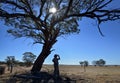 Silhouette of a farmer under a hot sun in rural Australia