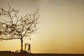 Silhouette of father and child at sunset time Royalty Free Stock Photo