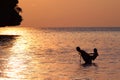 Silhouette Father and daughter enjoy swimming and snorkeling near the beach with sunset Royalty Free Stock Photo