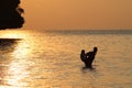 Silhouette Father and daughter enjoy swimming and snorkeling near the beach with sunset Royalty Free Stock Photo