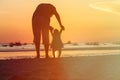 Silhouette of father and little daughter walk at sunset Royalty Free Stock Photo