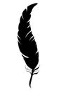 Silhouette feather, isolated on white background.