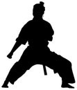 Silhouette of a female athlete kata karate vector