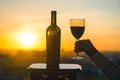 Silhouette of female hand toasting wine on sunset background. Royalty Free Stock Photo