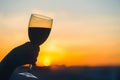 Silhouette of female hand toasting wine on sunset background. Royalty Free Stock Photo