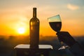 Silhouette of female hand toasting wine on sunset background. Royalty Free Stock Photo