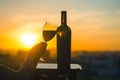 Silhouette of female hand toasting wine on sunset background. Royalty Free Stock Photo