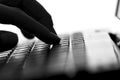 Silhouette of a female hands typing on the keyboard Royalty Free Stock Photo