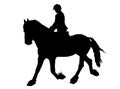 Silhouette of Female Rider on Lipizzaner horse Royalty Free Stock Photo