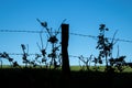 Silhouette of a fence post with barbed wire on a meadow Royalty Free Stock Photo