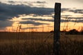 Silhouette of a fence post surrounded by wild grass after sunset on the prairies Royalty Free Stock Photo