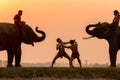 Silhouette fighter tradition Thai boxing or Muay-Thai outdoor Royalty Free Stock Photo