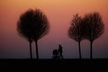 Silhouette of a figure with a stroller walking along a road against a red-purple sky just after sunset Royalty Free Stock Photo