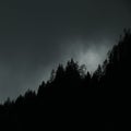 Silhouette of firs and larches tree tops in coniferous alpine forest against dramatic clouds and mist.