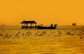 Silhouette of fisherman boat with hut at sea with flying seagull in scenery golden sky hour. Royalty Free Stock Photo