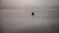 Silhouette of fisherman on the water in the fog choosing fishing nets on boat with oars Royalty Free Stock Photo