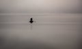 Silhouette of fisherman on the water in the fog choosing fishing nets on boat with oars Royalty Free Stock Photo