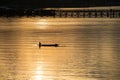 Silhouette fisherman and wood bridge, Sangkhlaburi