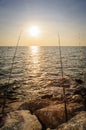 Silhouette fishing rod on a beach.