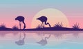 Silhouette of flamingo on riverbank at sunrise scenery