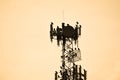 silhouette of a flock of American black vultures on a tower in the sunset